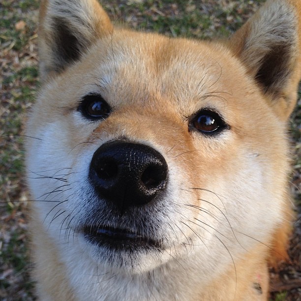 国际友谊赛：不同国家球队的精彩较量，国际友谊赛百度百科